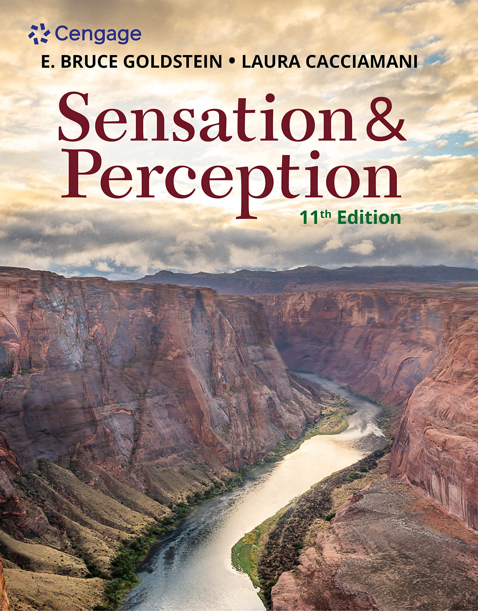 Sensation and Perception (MindTap Course List)
