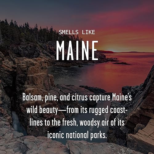 Vista 201 de Regalos de Nueva York, decoración de Nueva York para el hogar – 'There No Place Like New York Candle, con manzana jugosa, canela y calabaza I New