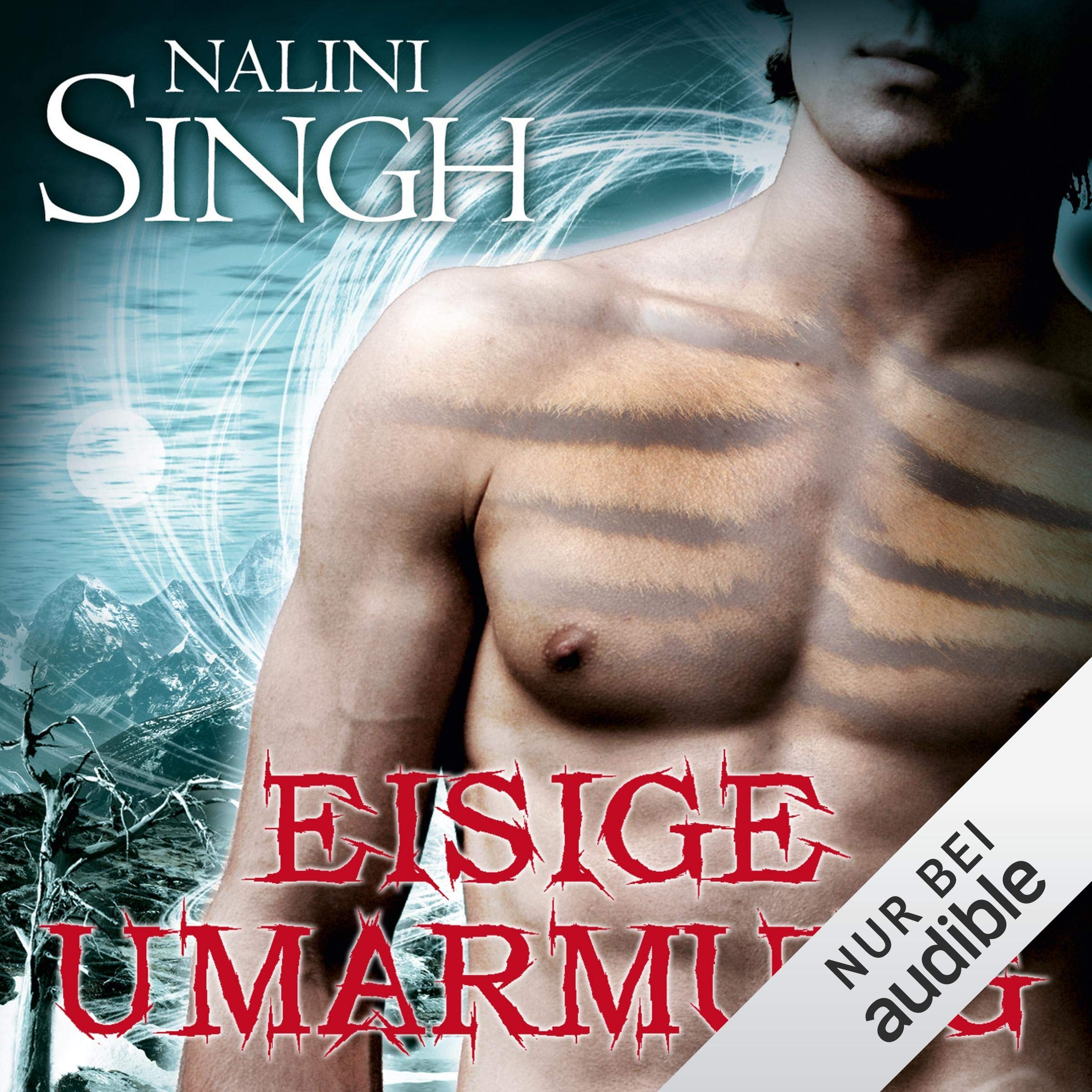 Cover art for Eisige Umarmung