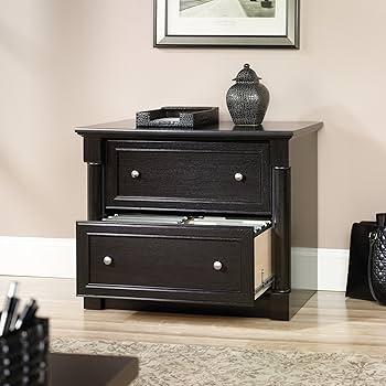 Amazon.com: Sauder Palladia 2 Drawer File Cabinet, Lateral Filing