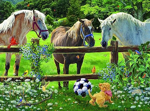 SunsOut Wanna Play - Un rompecabezas de 1000 piezas