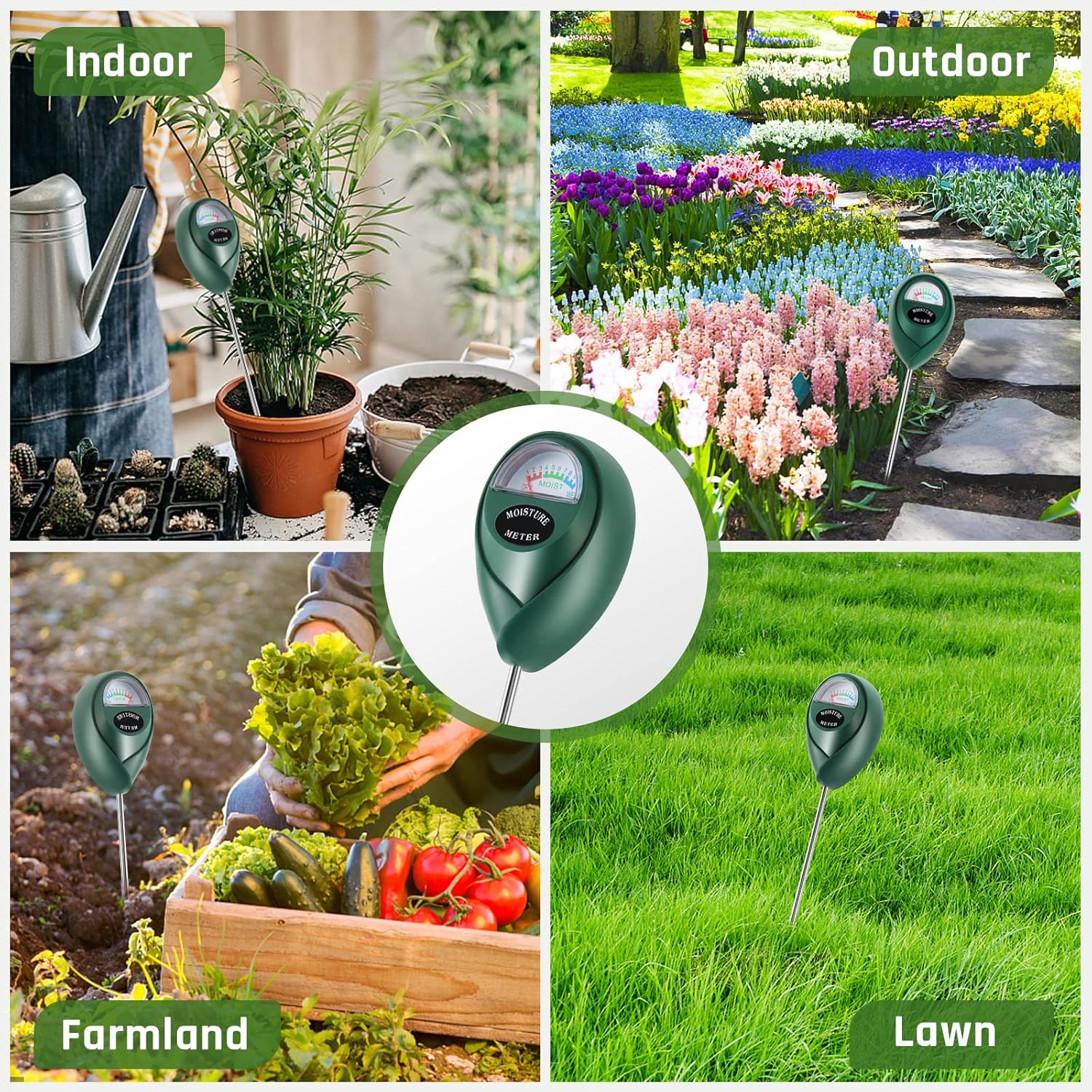 Buy Thlevel Plant Moisture Meter, Plant Water Meter, Soil Moisture