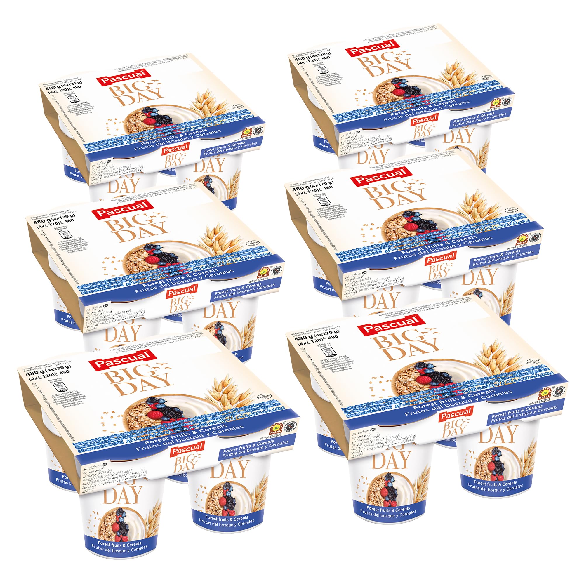 Pascual Yogur BIG DAY con frutos del bosque y cereales Pack 6x4x120g 24 uds.
