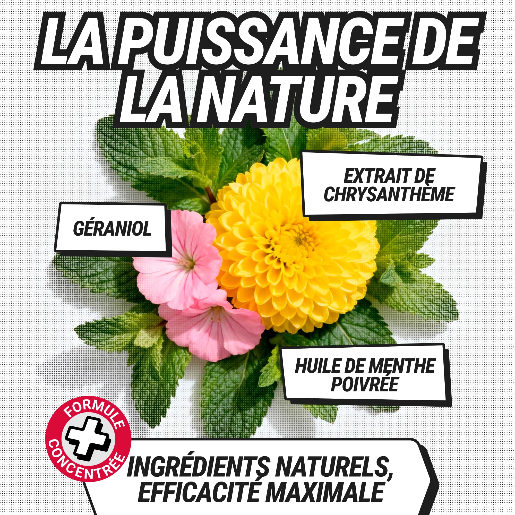 RepellShield® Spray Anti Fourmis Maison Intérieur et Extérieur - Barrière Répulsive à Base de Plantes pour Cuisine, Jardin, Portes et Fenêtres - Extrait de Chrysanthème - sans Tache ni Résidu, 250ml