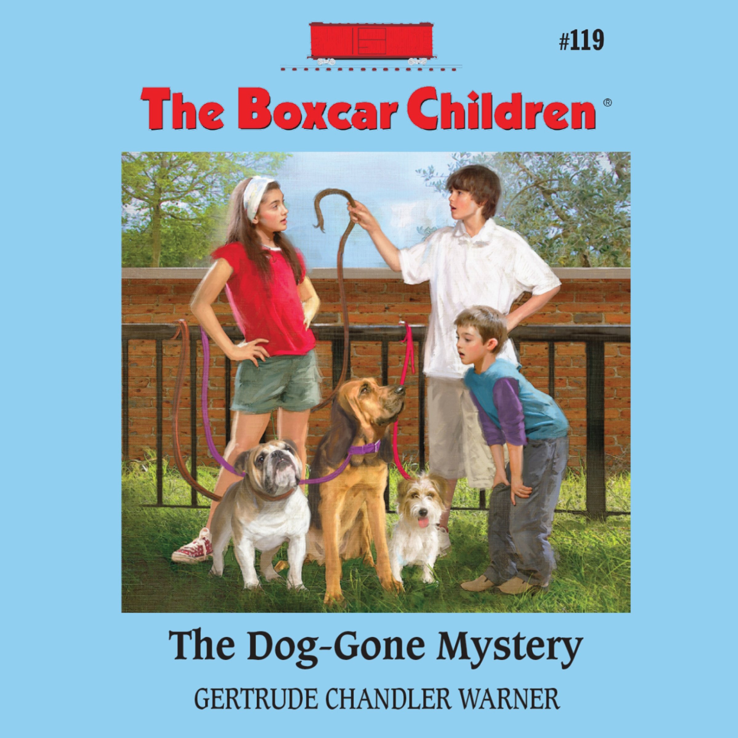 Cover art for The Dog-Gone Mystery