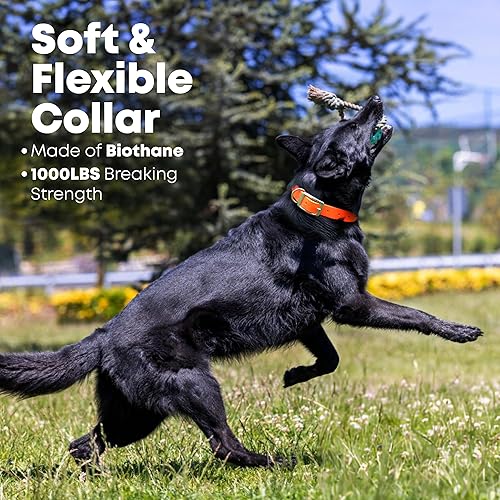 Miniatura 13 de Regal Dog Products Collar de perro reflectante naranja grande con placa de nombre grabada personalizada y anillo central resistente Collares