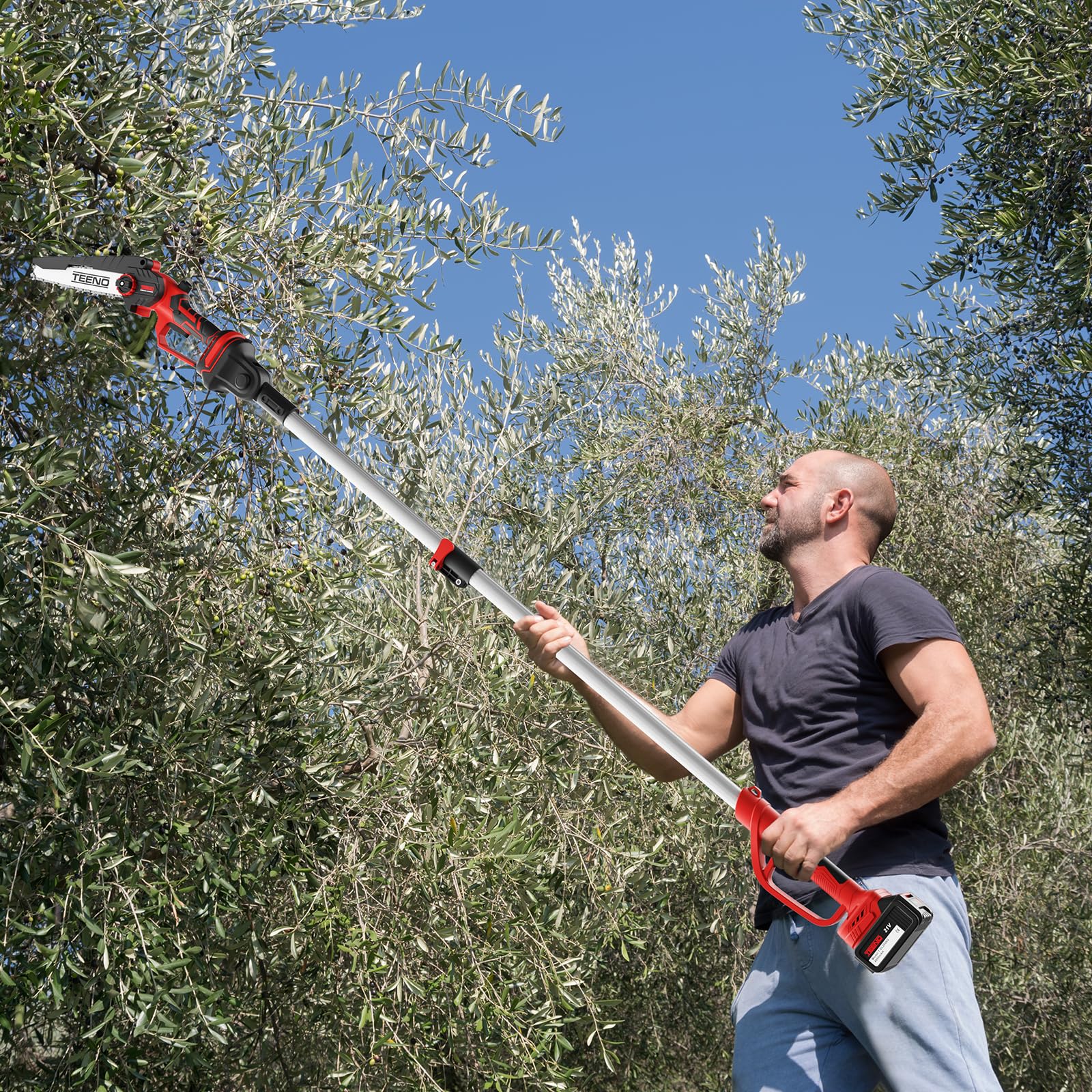 TEENO Segatrice elettrica,segatrice elettrica 2 in 1,asta telescopica | staccabile,regolazione a 180°,6 pollici,2 batterie da 4000 mAh,2 piastre di guida,2 catene