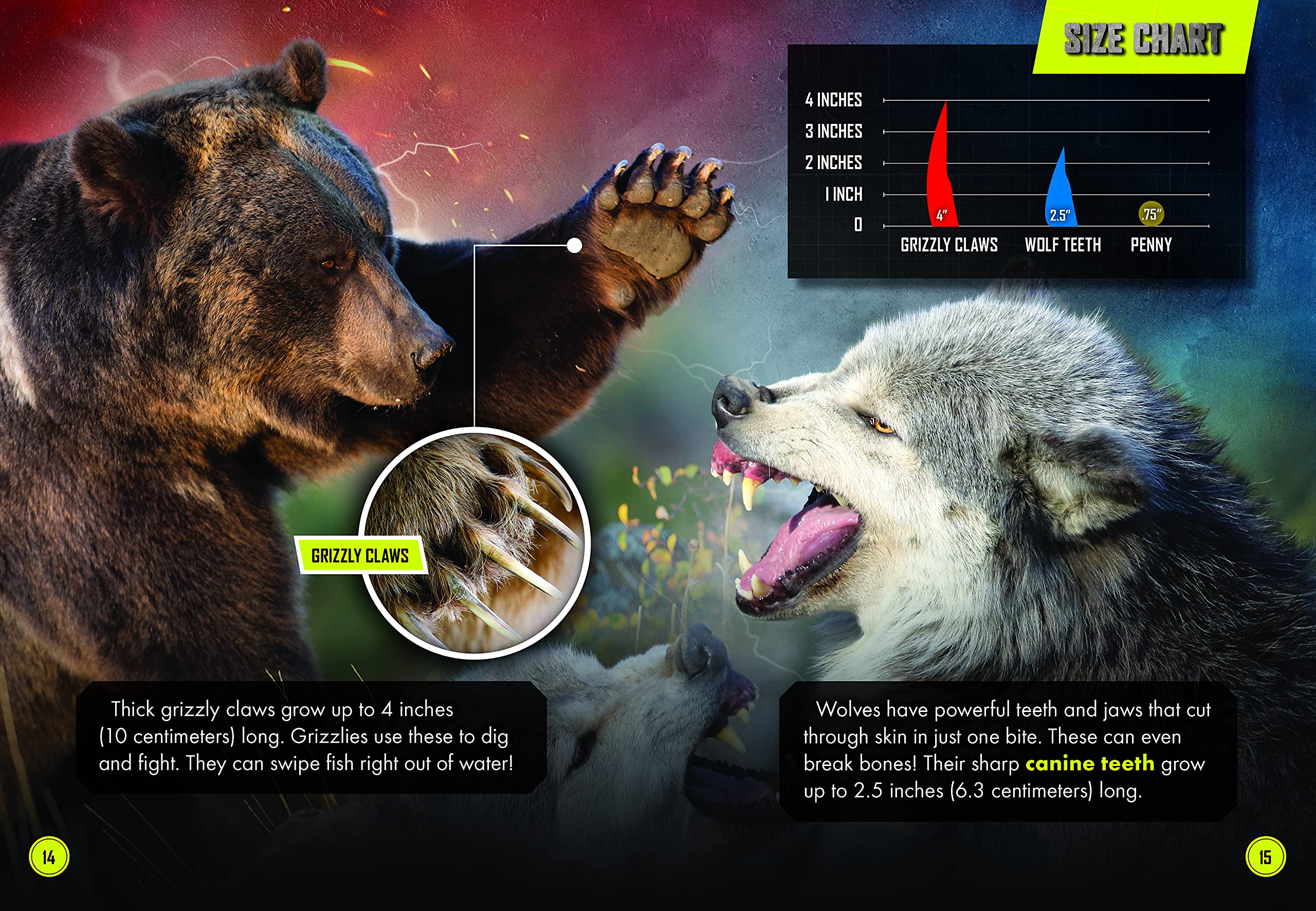 Grizzly Bear vs. Wolf Pack