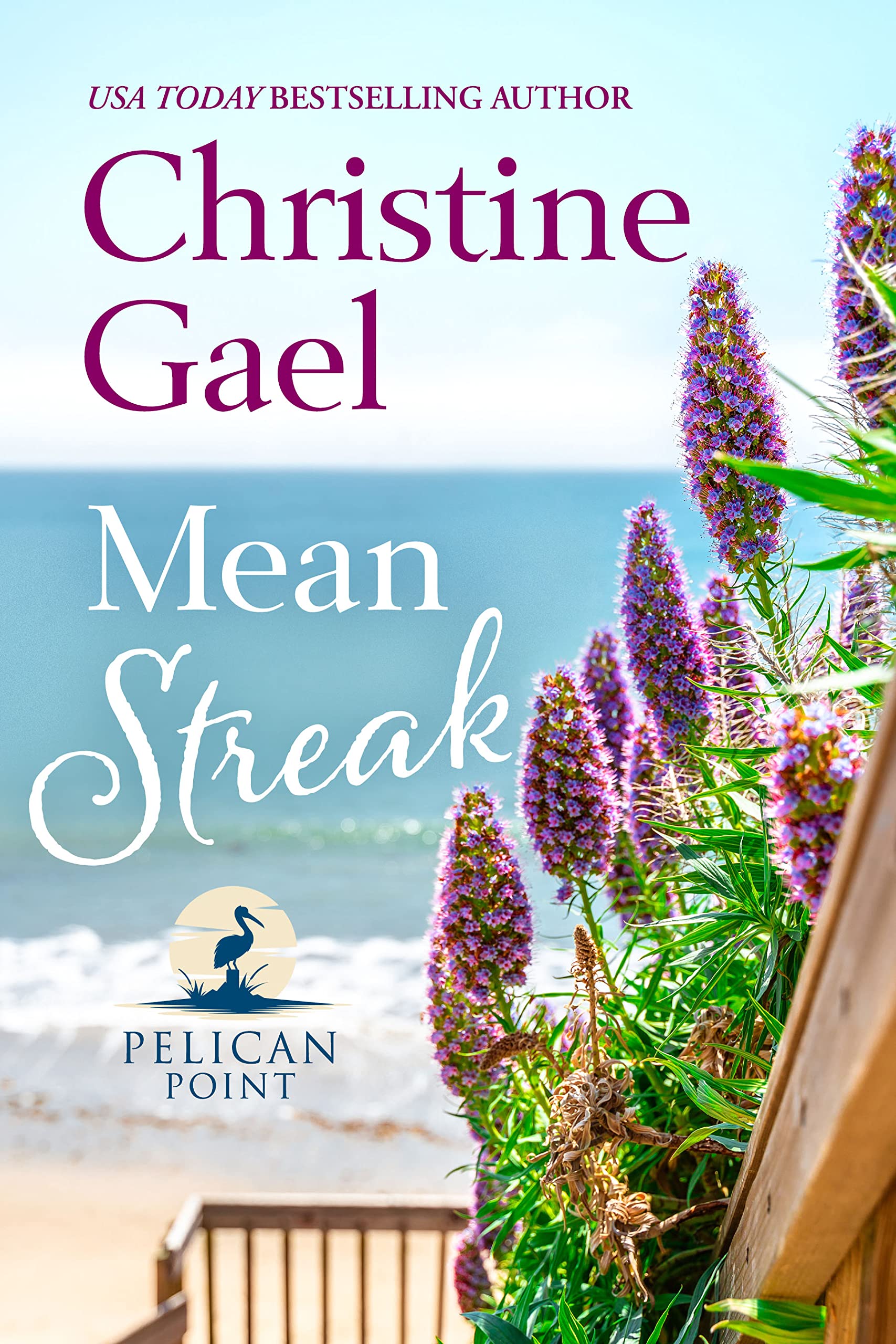 Mean Streak (Pelican Point Book 2)