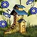 Hidden Garden Fairy Tale