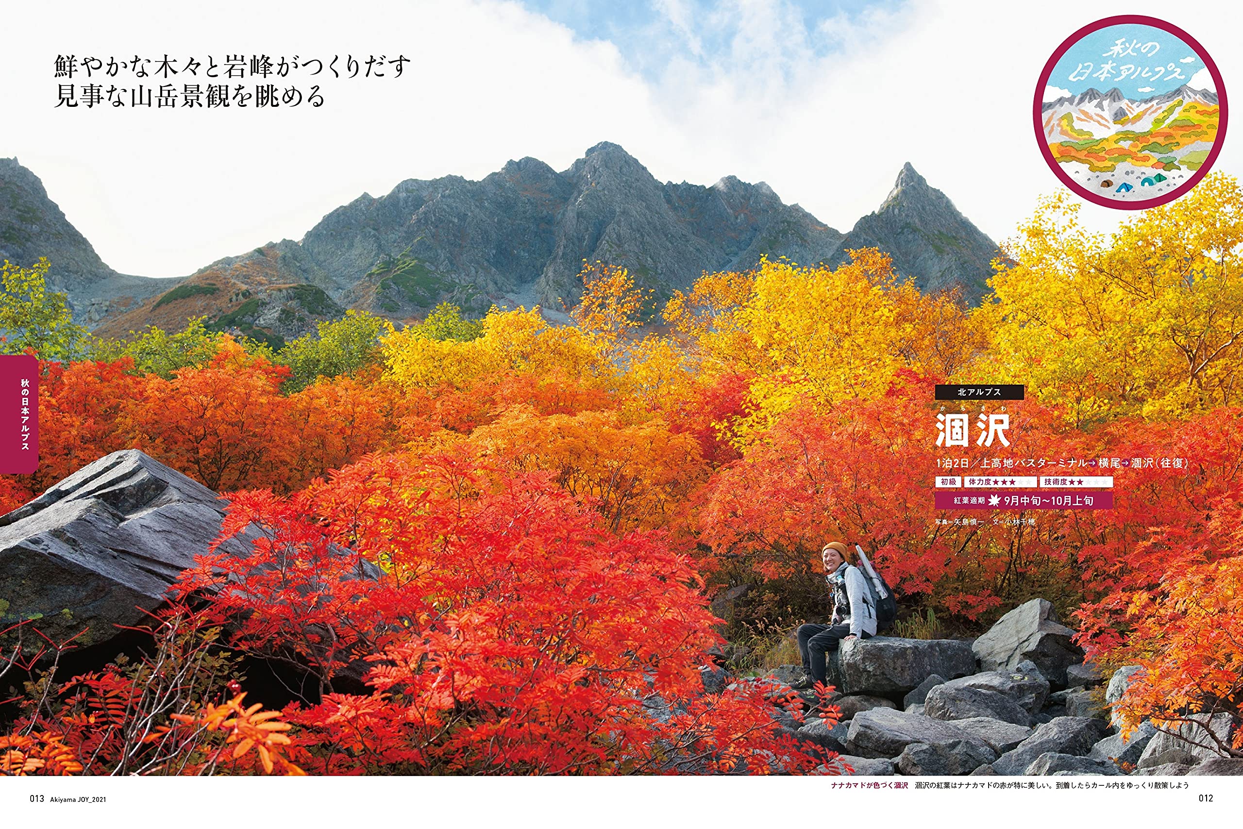 秋山joy21 山の楽しみ方はいろいろ 今行きたい 美しき紅葉の山 山と溪谷社 配送料無料