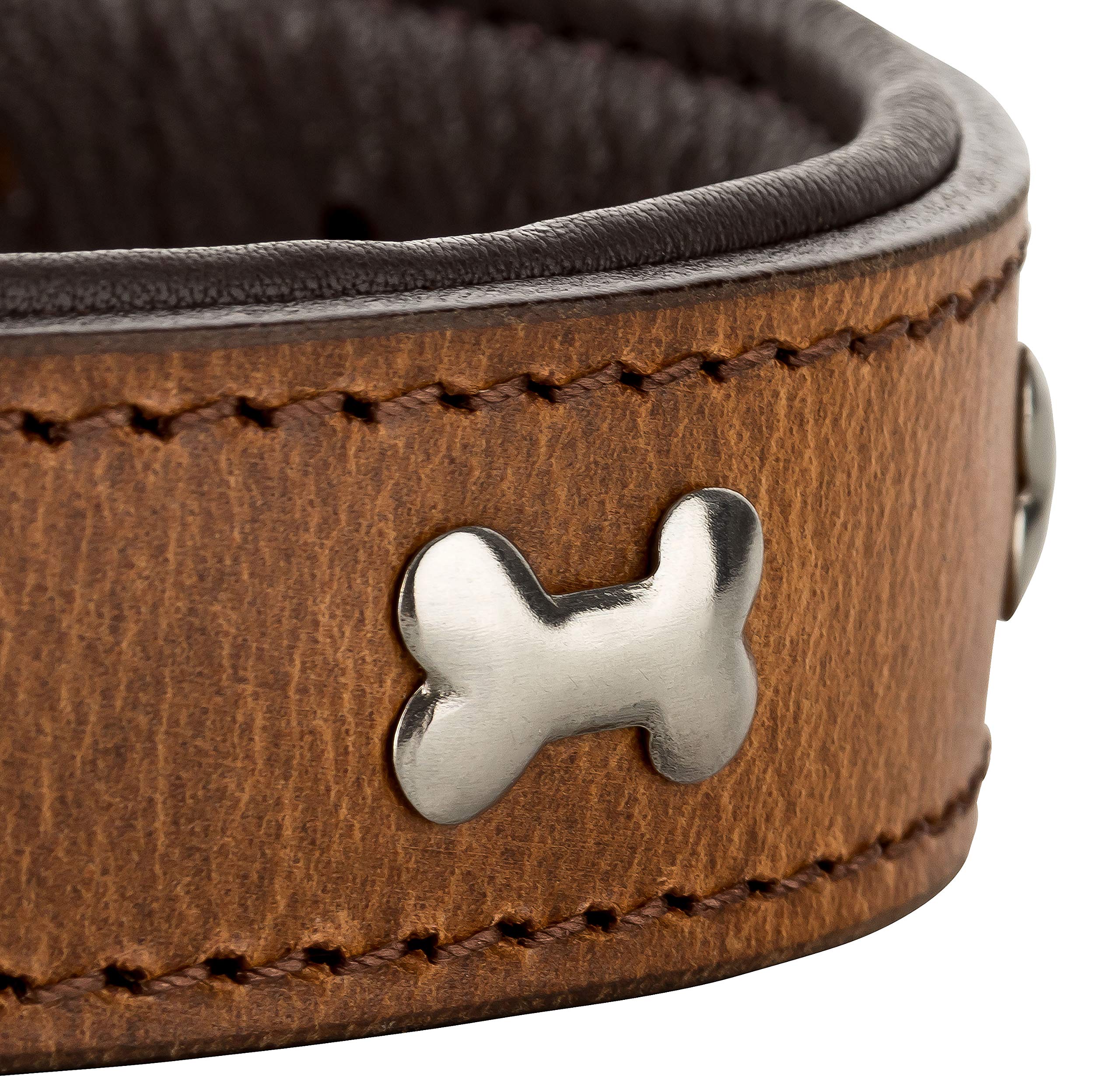 Lisa Halsband für Hunde aus Leder mit Applikation, Hundehalsband für den großen und mittleren Hund (L - 36-45cm, Braun)