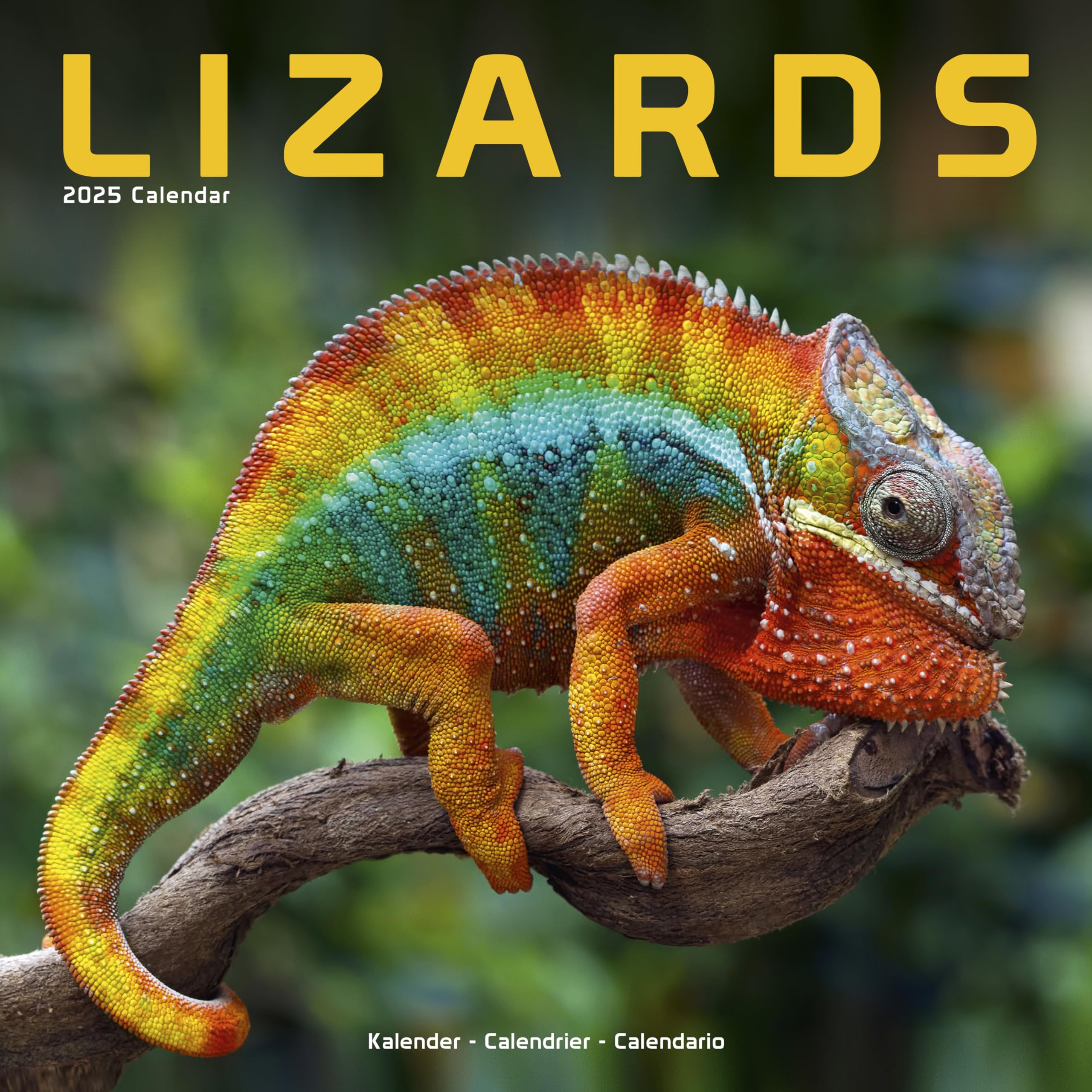 Lizards 2025 Square Wall Calendar | Animal, Reptile Calendar