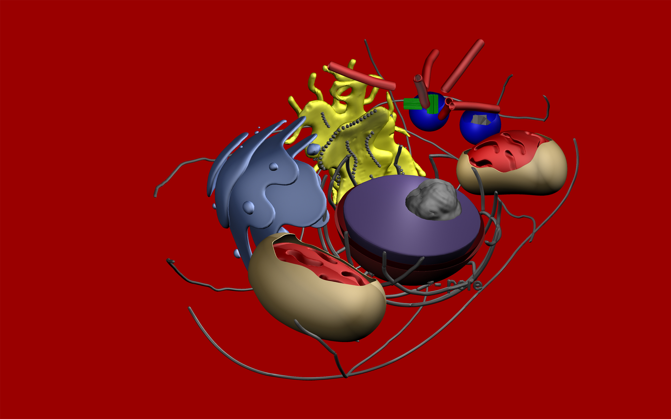 Aplicación Cell Structure in 3D Virtual Reality (Animal, Plant ...