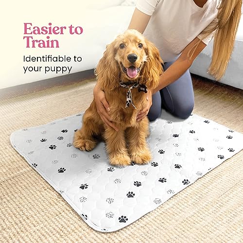 Miniatura 2 de Almohadillas Lavables Súper Absorbentes para Orina de Perros - Paquete de 2 Almohadillas Reutilizables Superiores para Cachorros Almohadillas de