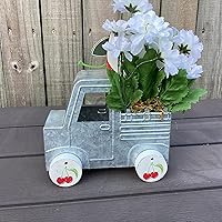 Vista 3 de AGD Summer Decor - Cherry Lime Theme Floral Galvanized Metal Truck Display