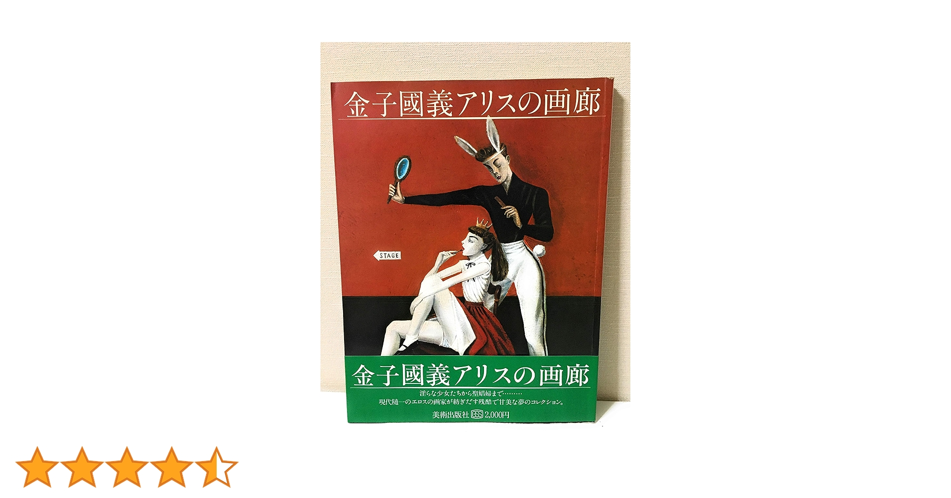 Amazon.co.jp: 金子國義アリスの画廊 : 本