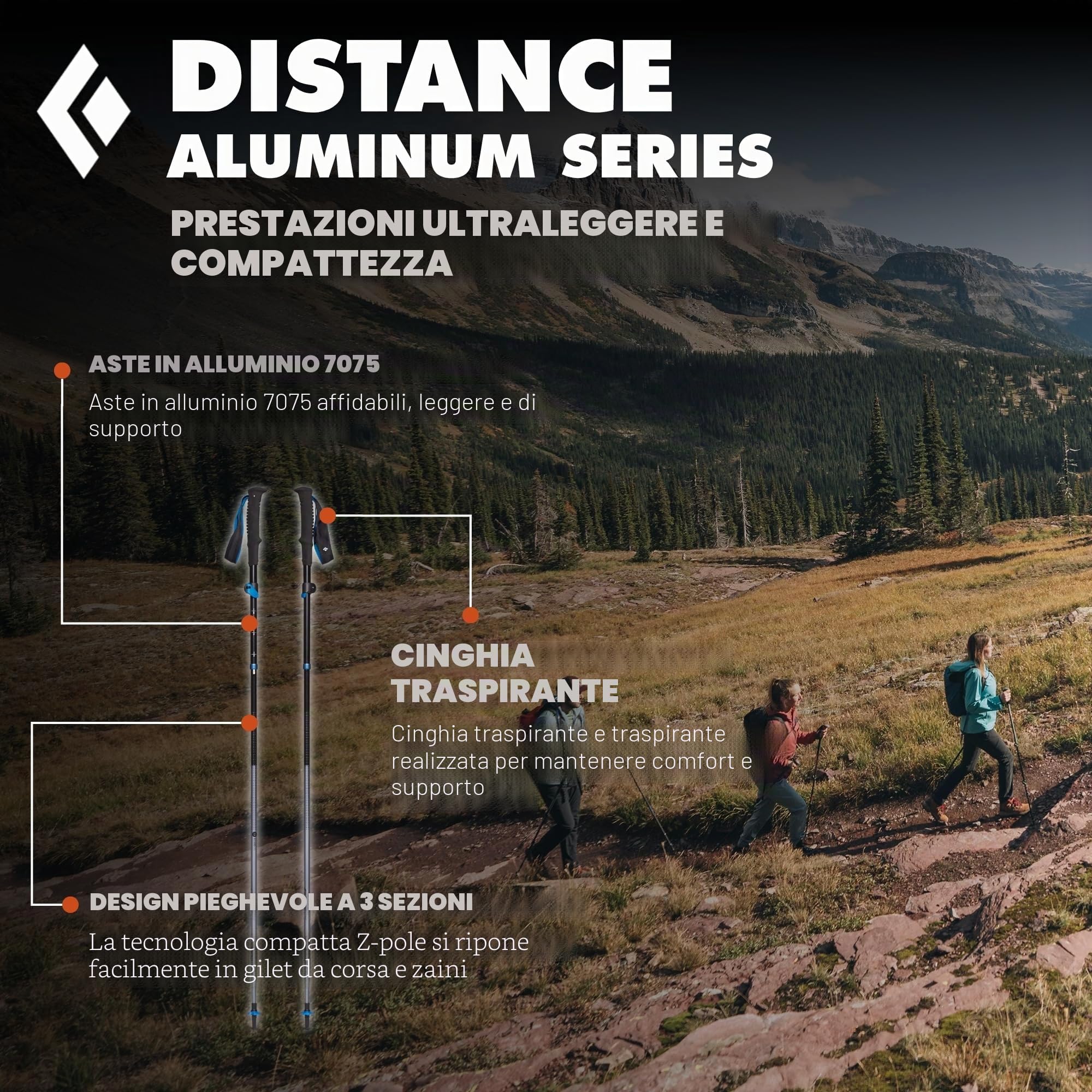 Black Diamond Distance FLZ Trek Poles - AW24