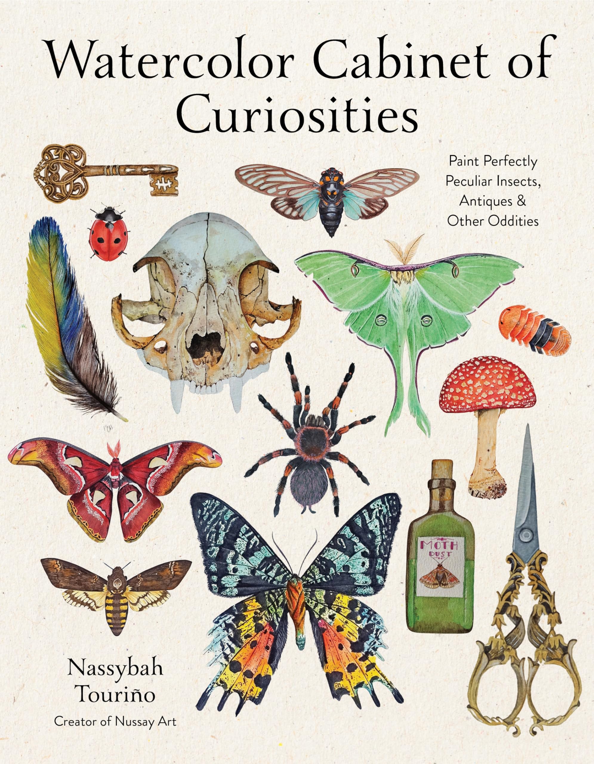 洋書 Cabinets of Wonder Cabinet of curiosities - Wikipedia