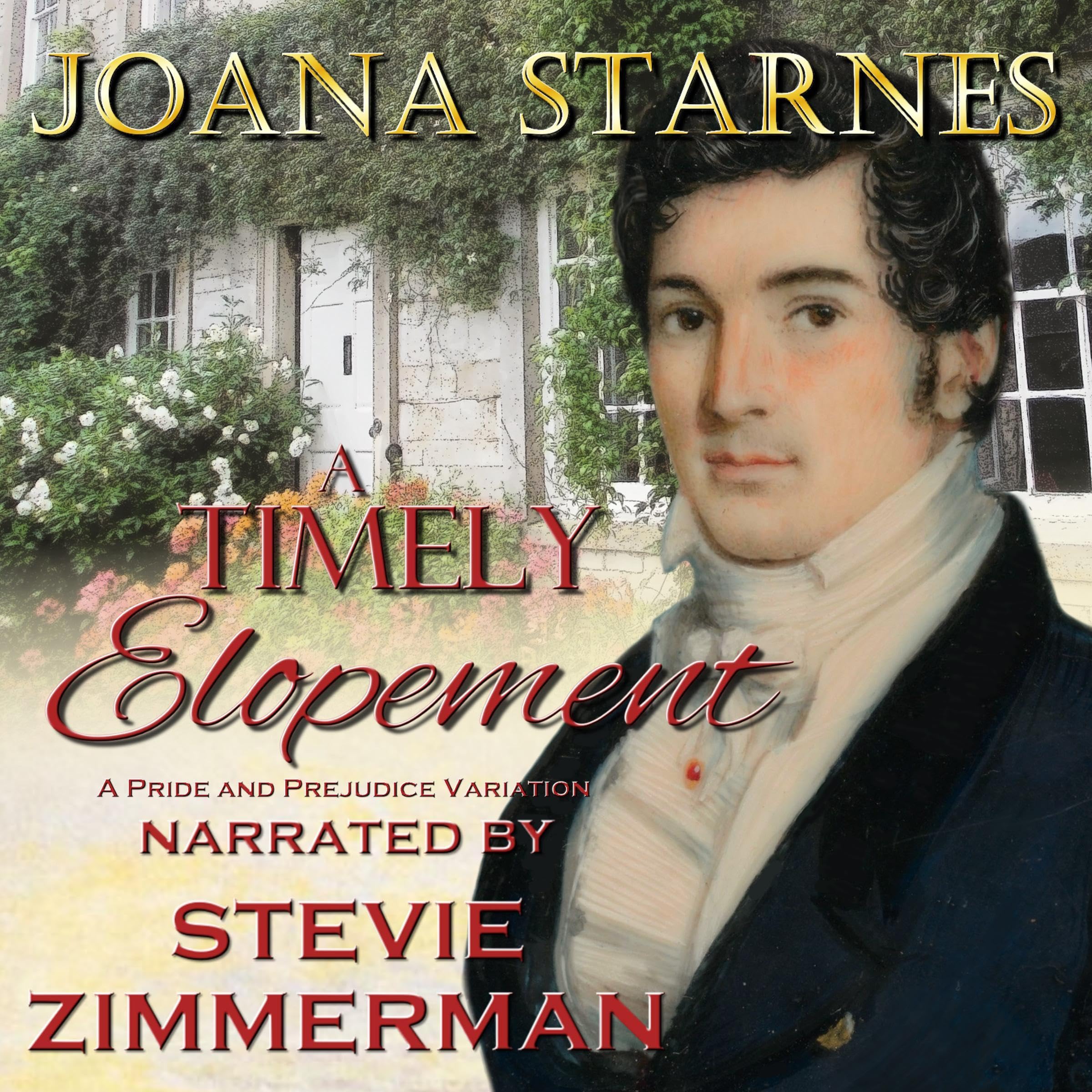 Cover art for A Timely Elopement