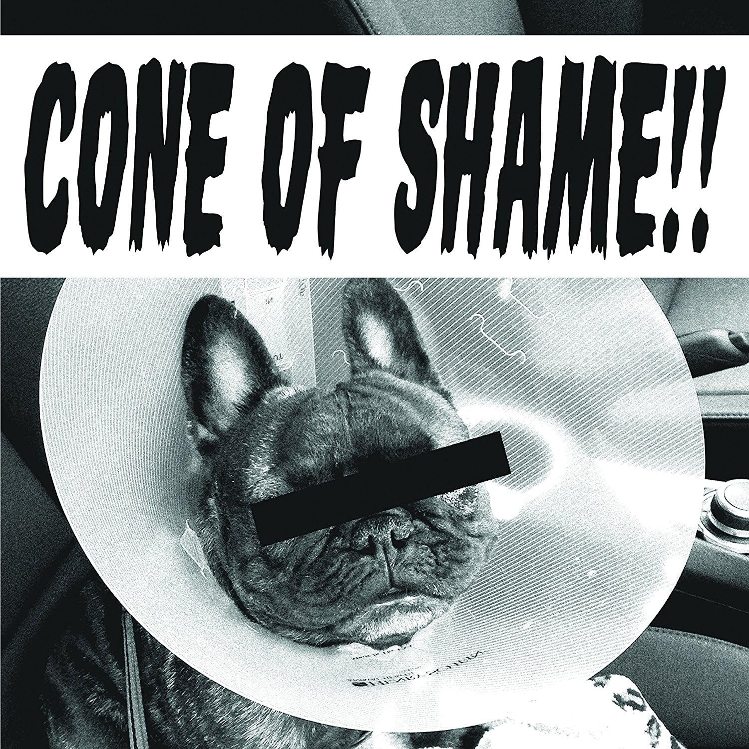 Cone Of Shame Clear