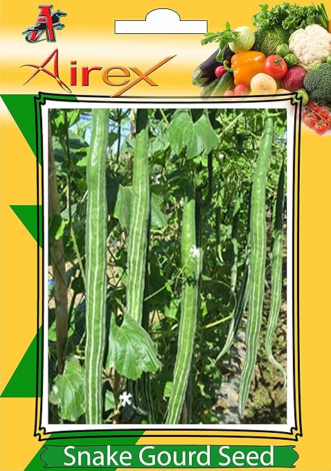 Airex Snake Gourd Vegetables Seeds (3 Packet Of Snake Gourd) Pack Of AVG 30-50 Seeds*3 Per Packet