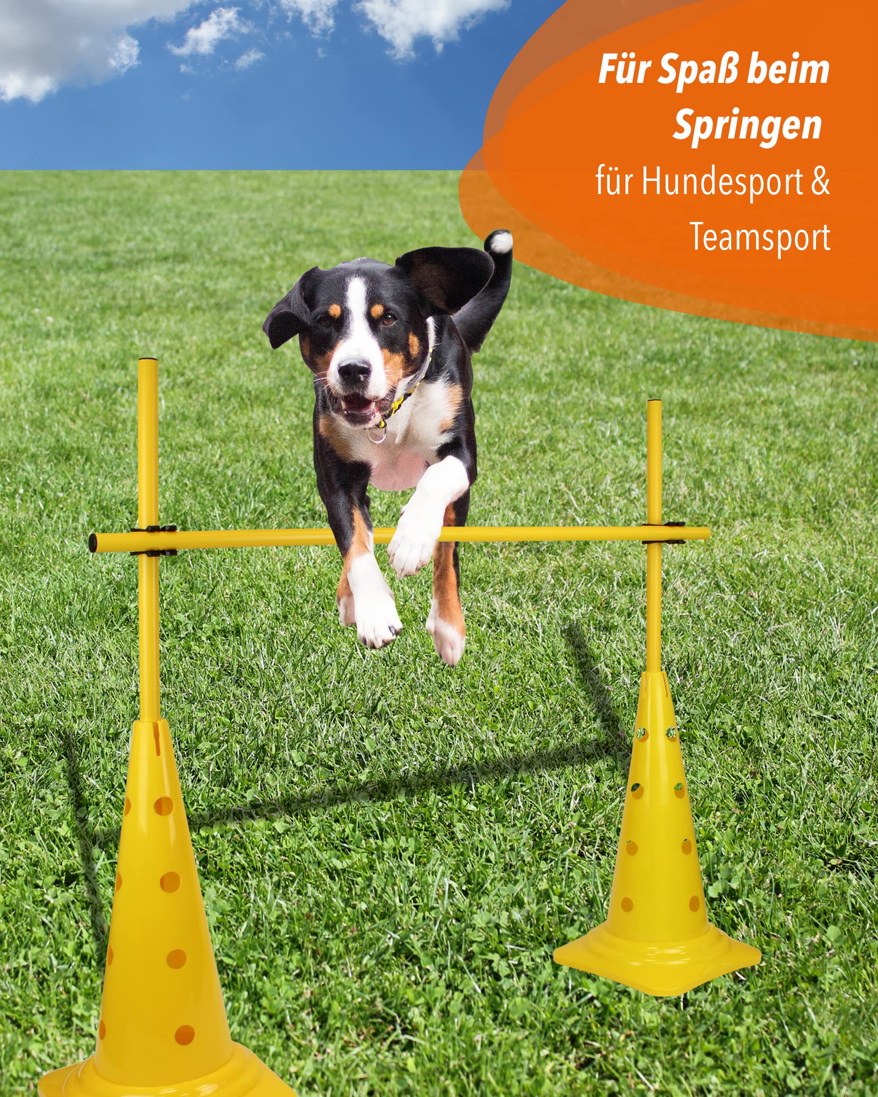 Set di ostacoli con 50 pali – 100 cm – Arancione – Ostacolo da allenamento con altezza regolabile – Ostacolo a innesto per agilità, calcio e sport cinofilo