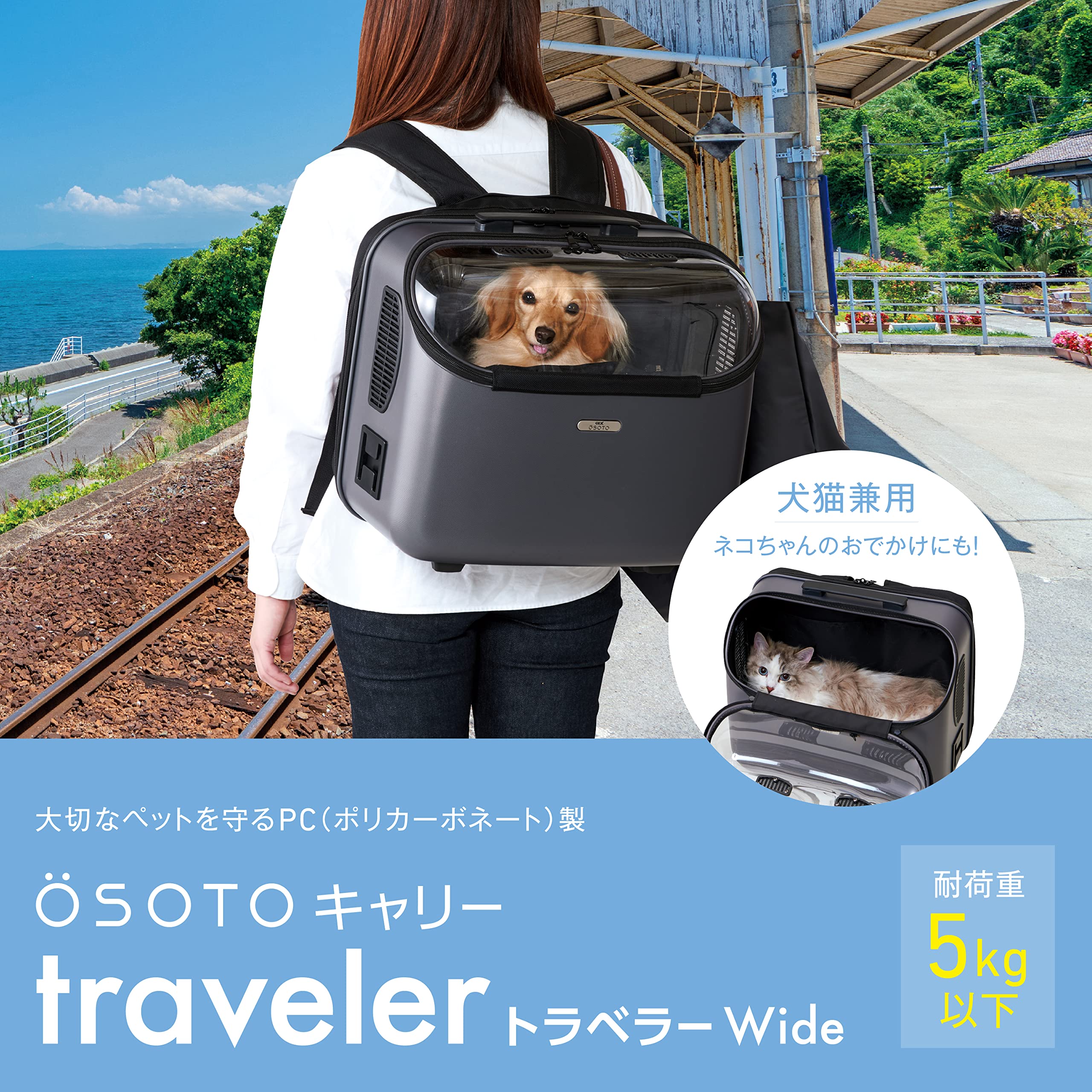 Amazon | OSOTOキャリー トラベラーWide グレー 軽量 ポリカーボネイト 