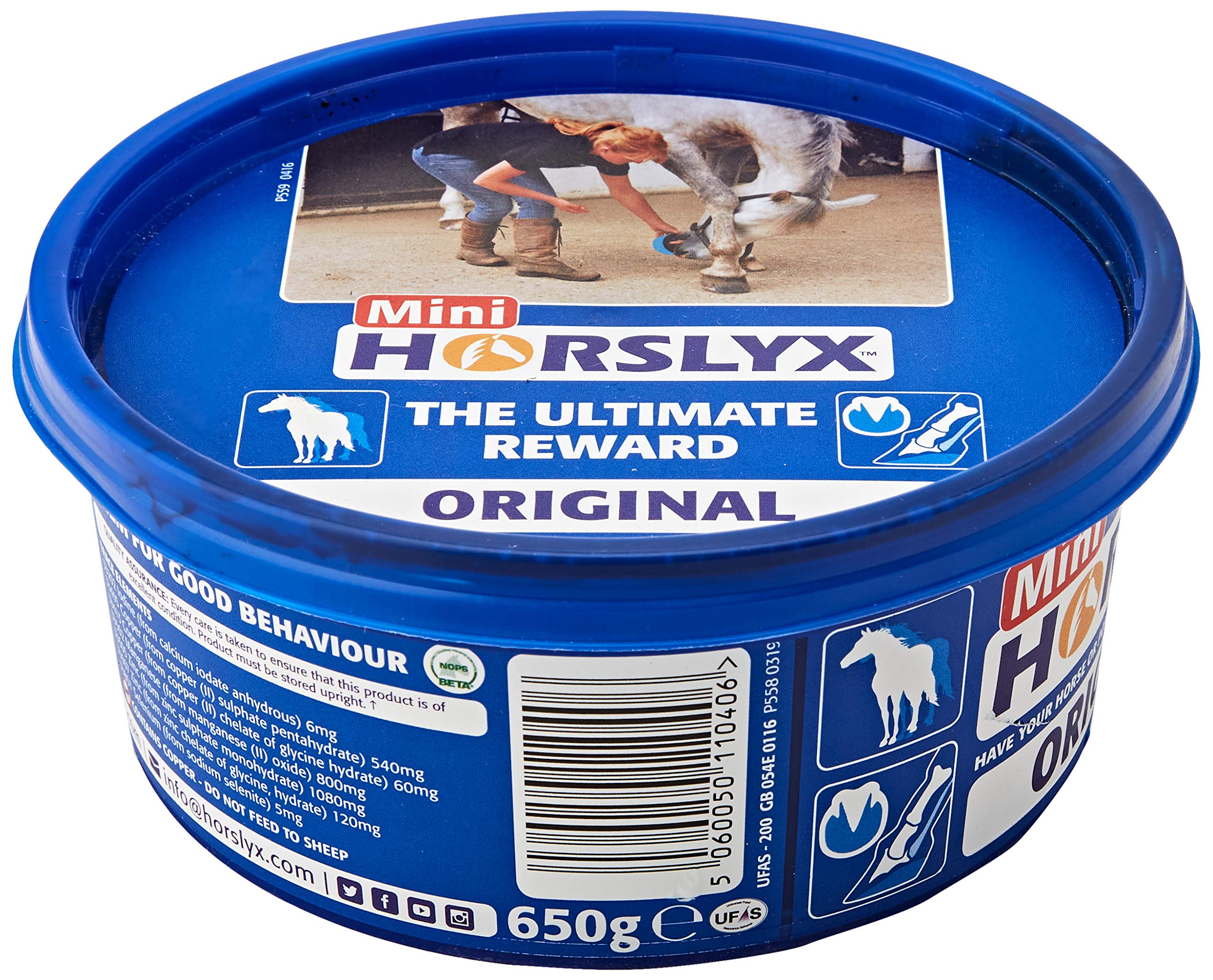William Hunter Leckmasse ́Horslyx ́