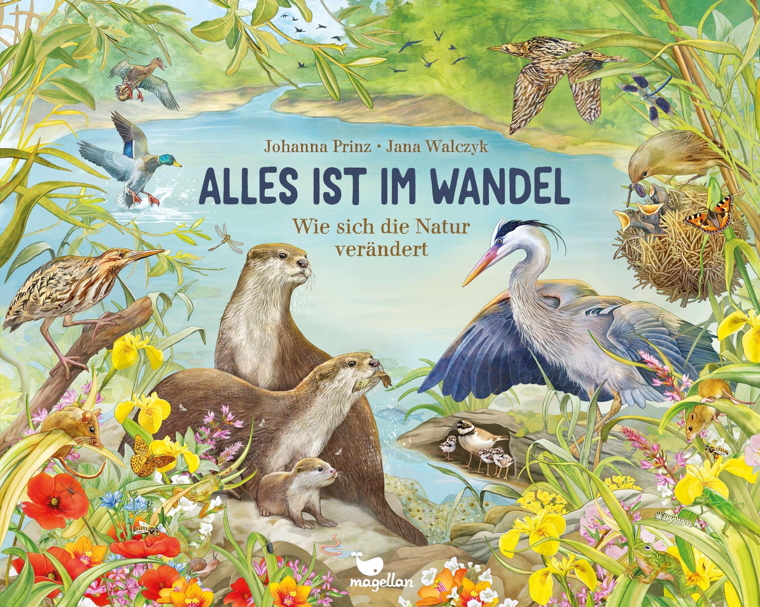 Alles ist im Wandel - Wie sich die Natur verändert: Ein Sachbilderbuch für Kinder ab 5 Jahren