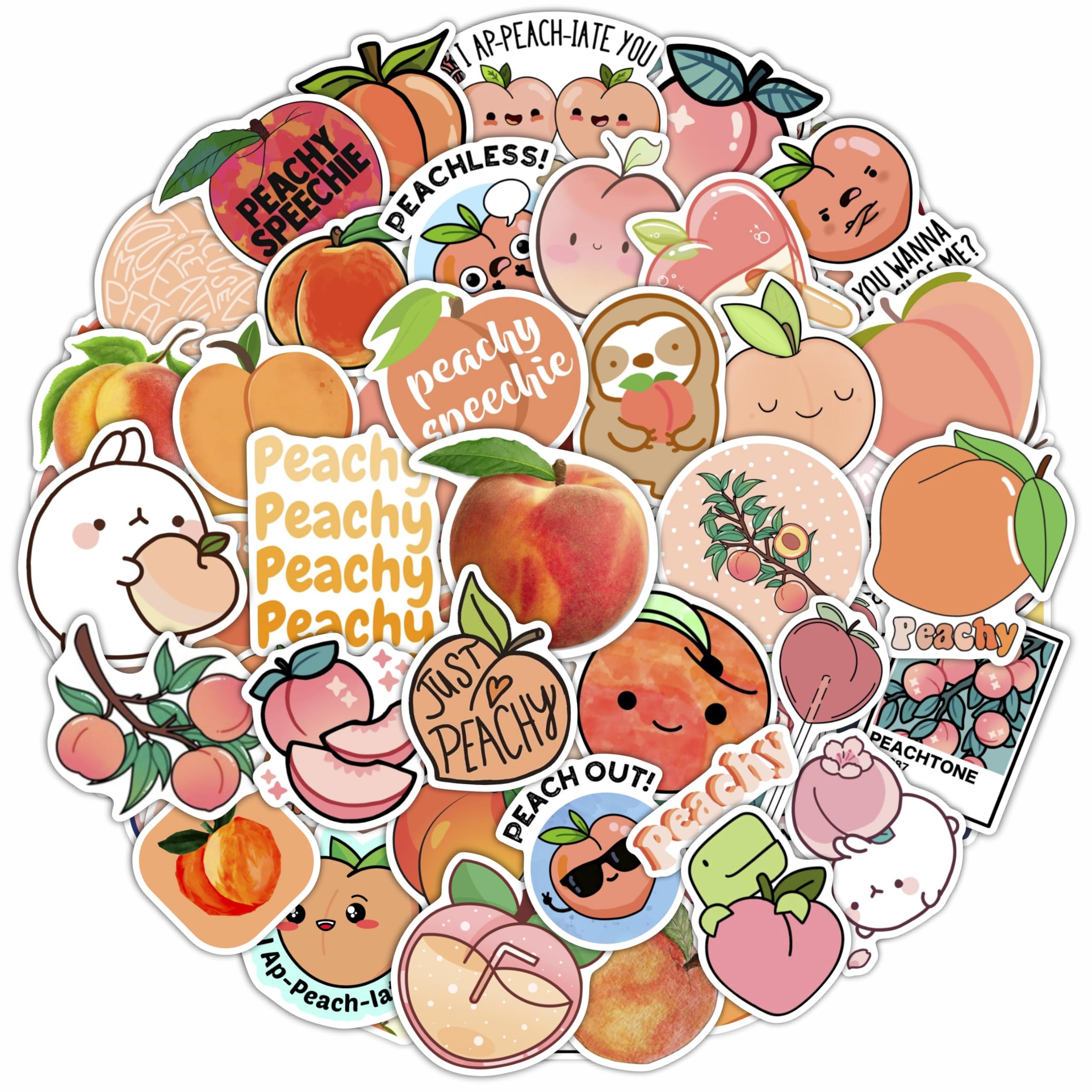 人物ステッカー　Cream peach様　2 Amazon.com: BulbaCraft Peach Stickers for Water Bottle and Laptop