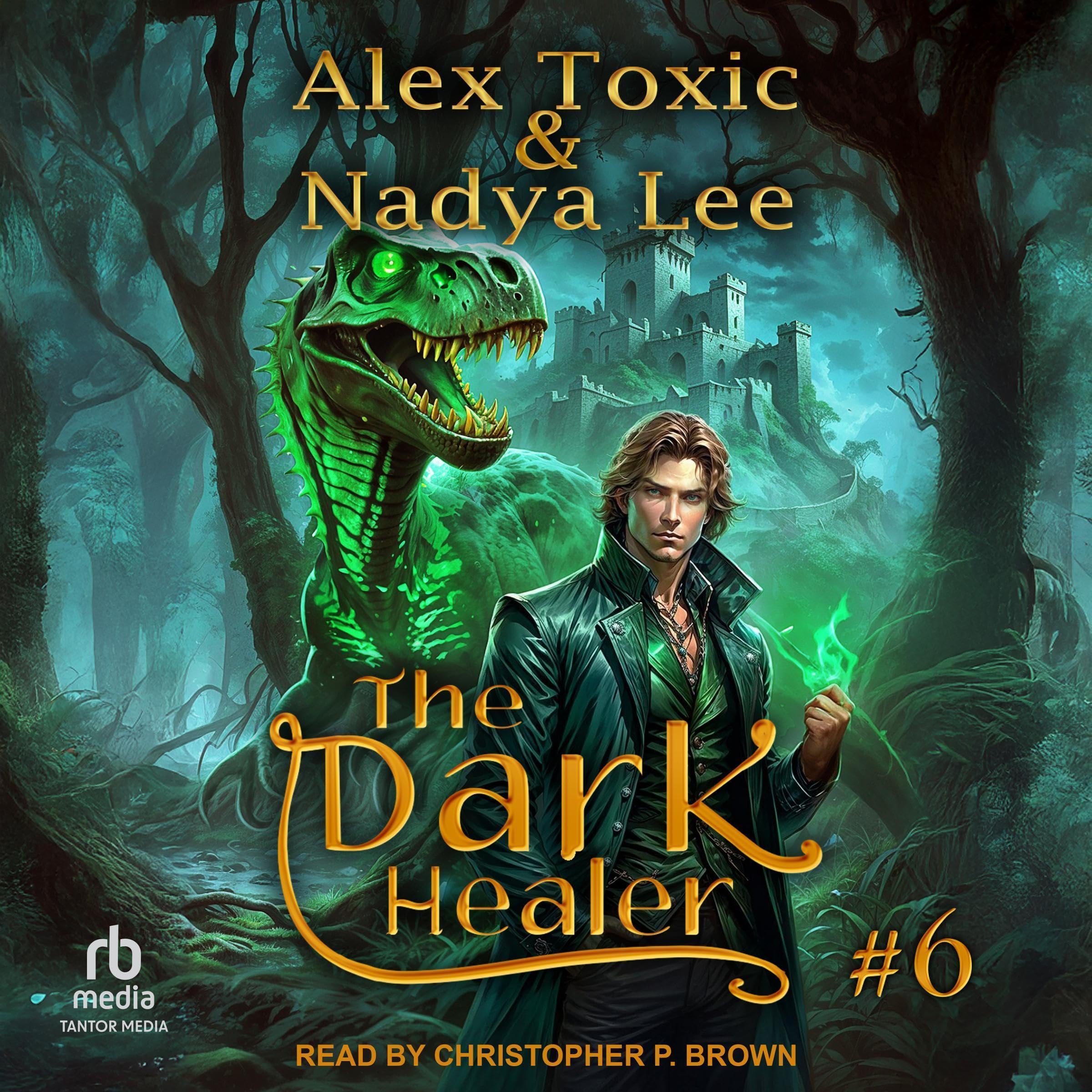 Cover art for The Dark Healer: Book 6