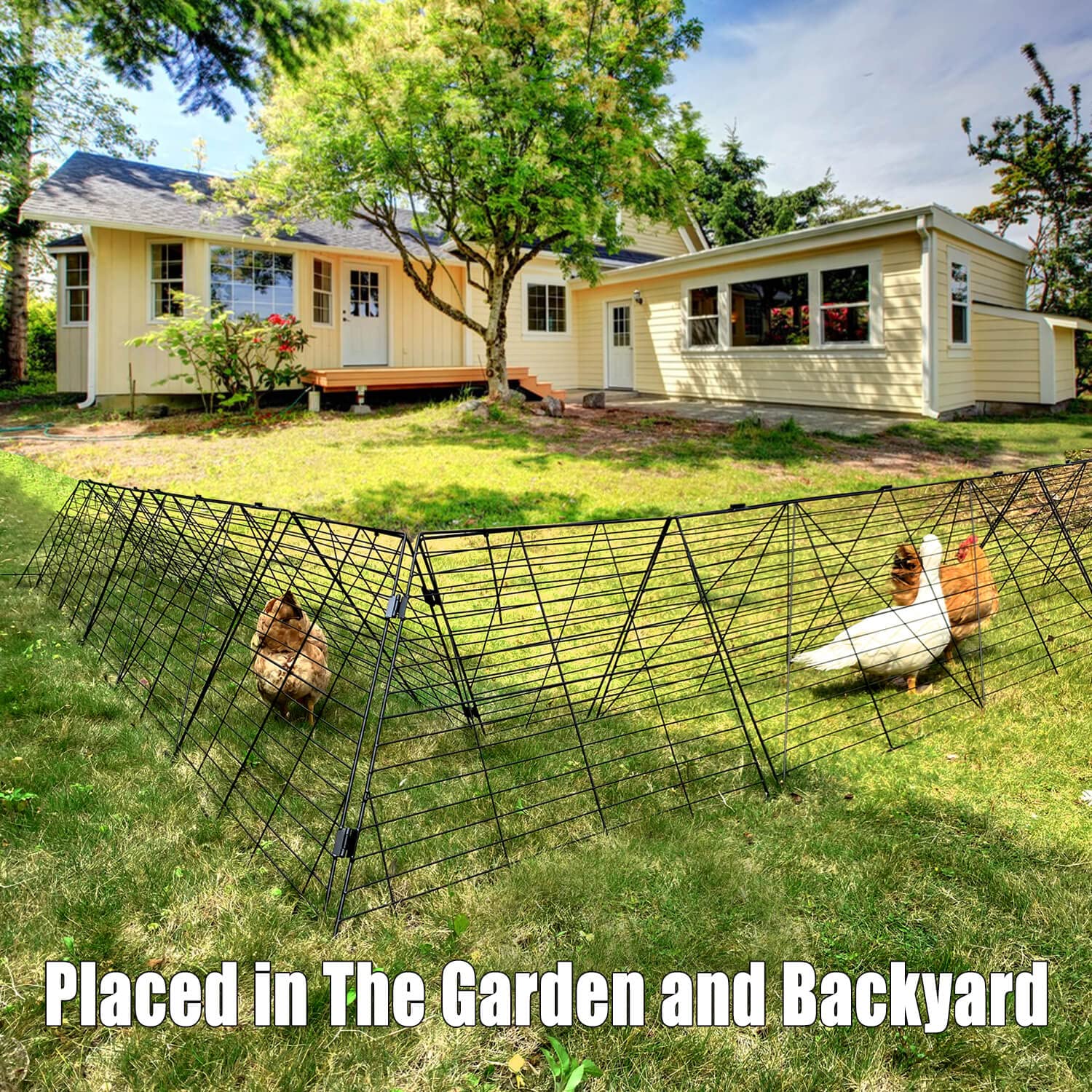 Chicken Tunnels for Yard, Chicken Tunnels for Outside, Chicken Run Coop