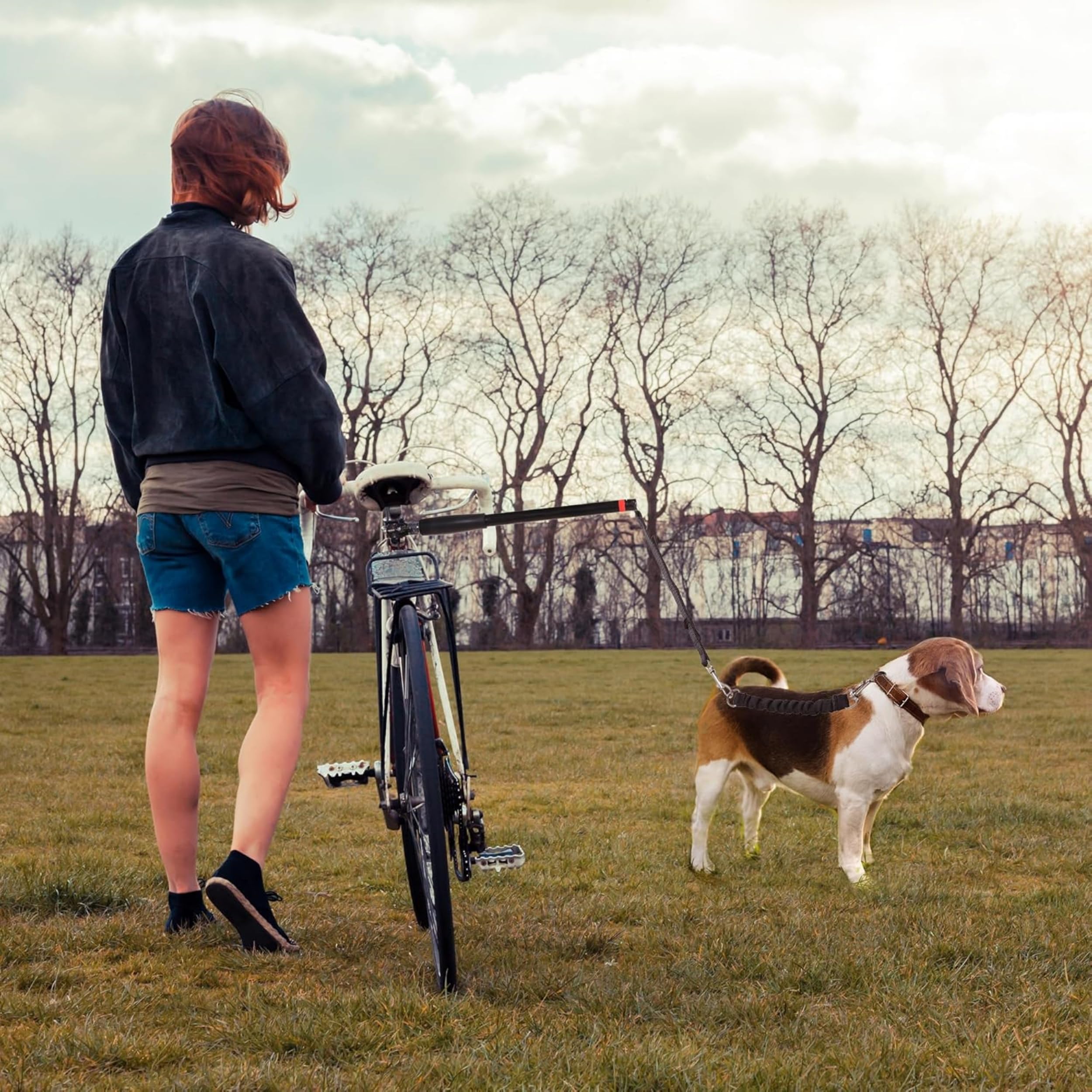 Correa de Bicicleta para Perro, Bicicleta para Perros Manos Libres, Instalación Fácil de Quitar, Correa de Perro Segura para Ciclismo al Aire Libre, para Ejercicio, Entrenamiento y Correr 42.5CM