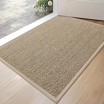 DEXI Indoor Doormat 43 x 76 cm Non-Slip Dirt Trapper Mat with Rubber Backing Absorbent Door Mat Indoor Thin Door Mat Washable Clean Mat for Front Door & Hallway Beige