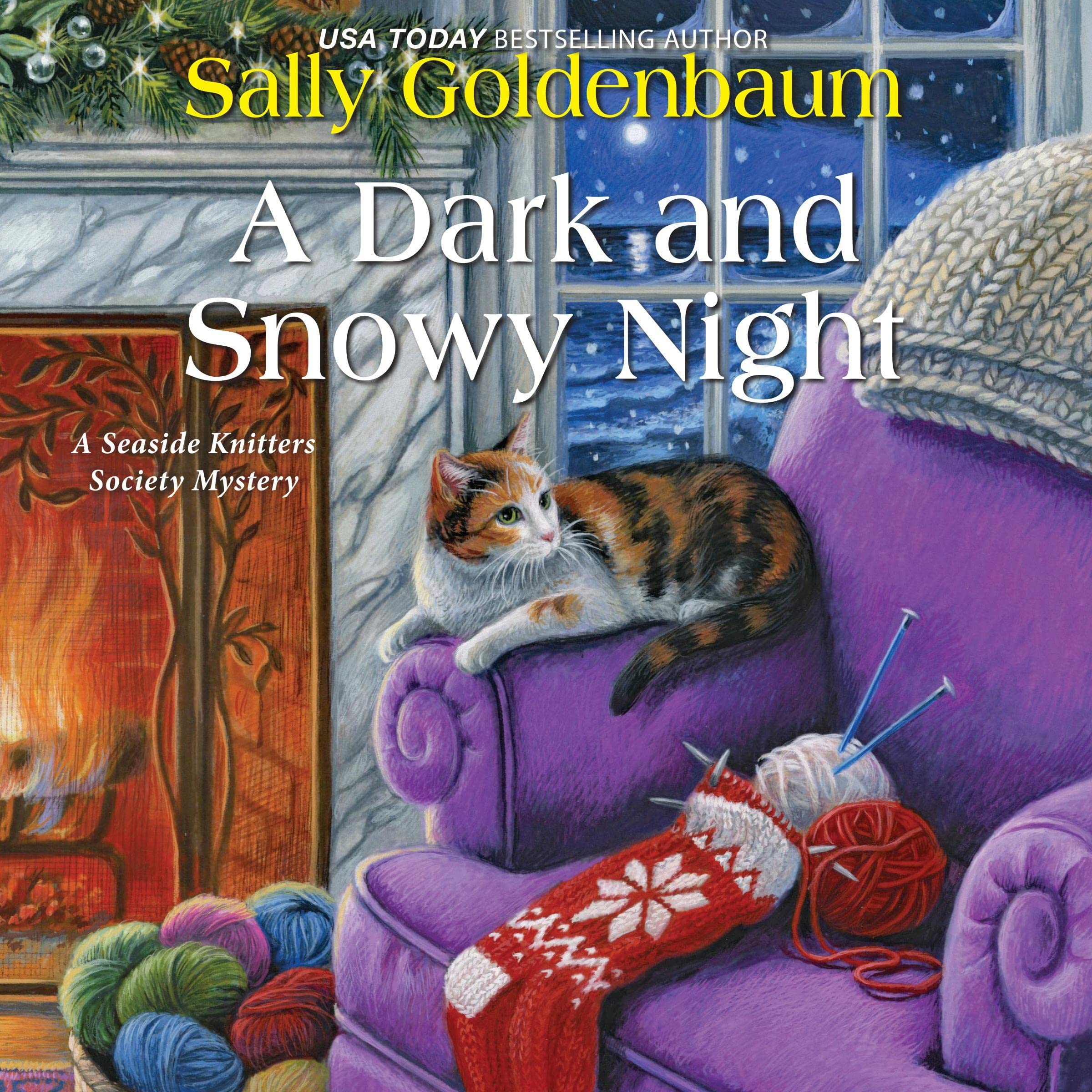 Cover art for A Dark and Snowy Night