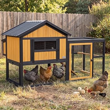 Petsfit Outdoor Chicken Coop with Run for 4-6 Chickens, 3 Nesting Boxes | 71 x 42 x 45 in; predator-resistant ground anchors, 3-door cleaning access, washable floor, 3 perches and chicken swing.