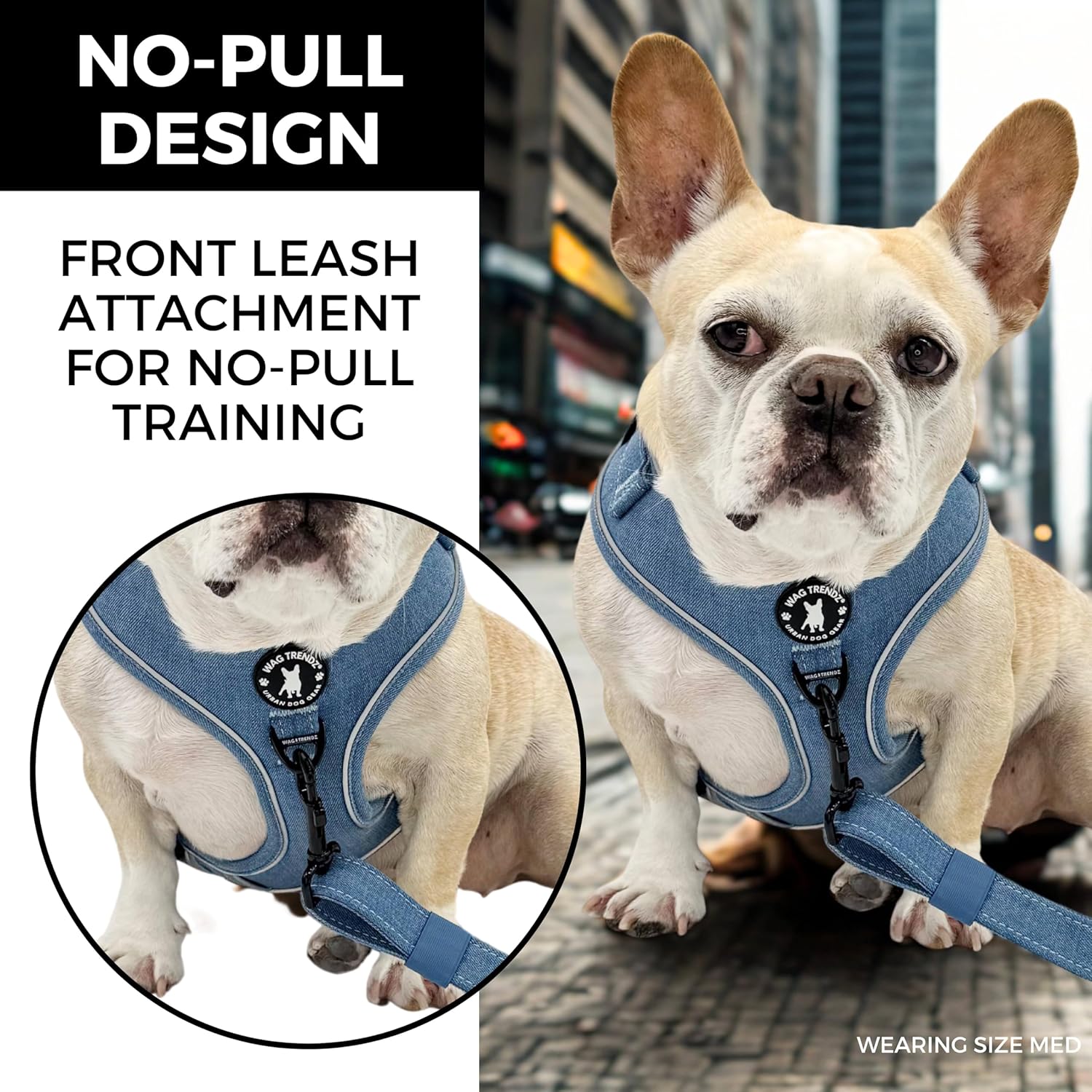 WAG TRENDZ Dog Harness Small Sized Dog | Dachshund Harness | No Pull | Padded Chest for Comfort | Real Denim Exterior | Durable & Long Lasting Design | Downtown Denim | Small