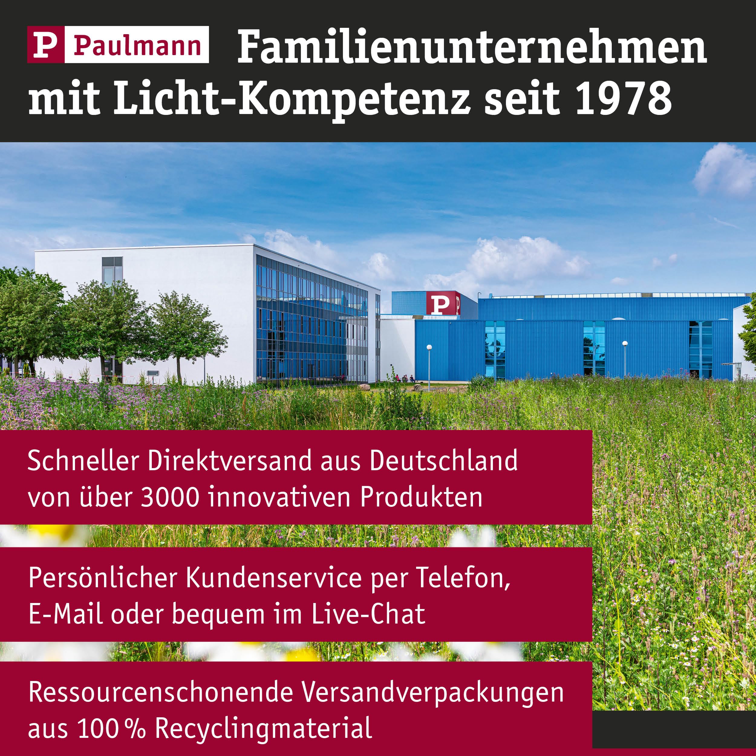 Paulmann 5281 Set Filament 230V LED Birne E27 5x470lm 5x6,3W RGBW+ dimmbar Gold