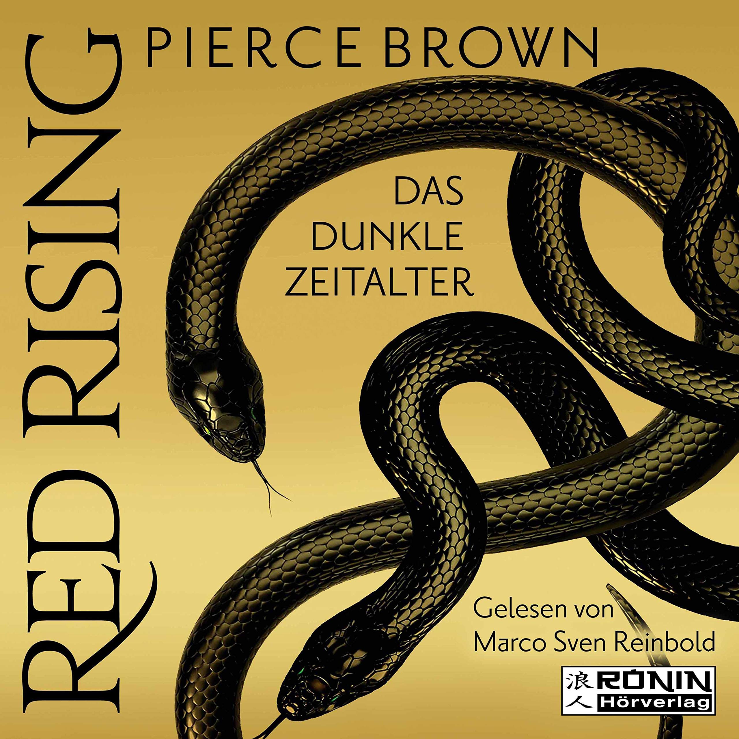 Cover art for Das dunkle Zeitalter 1