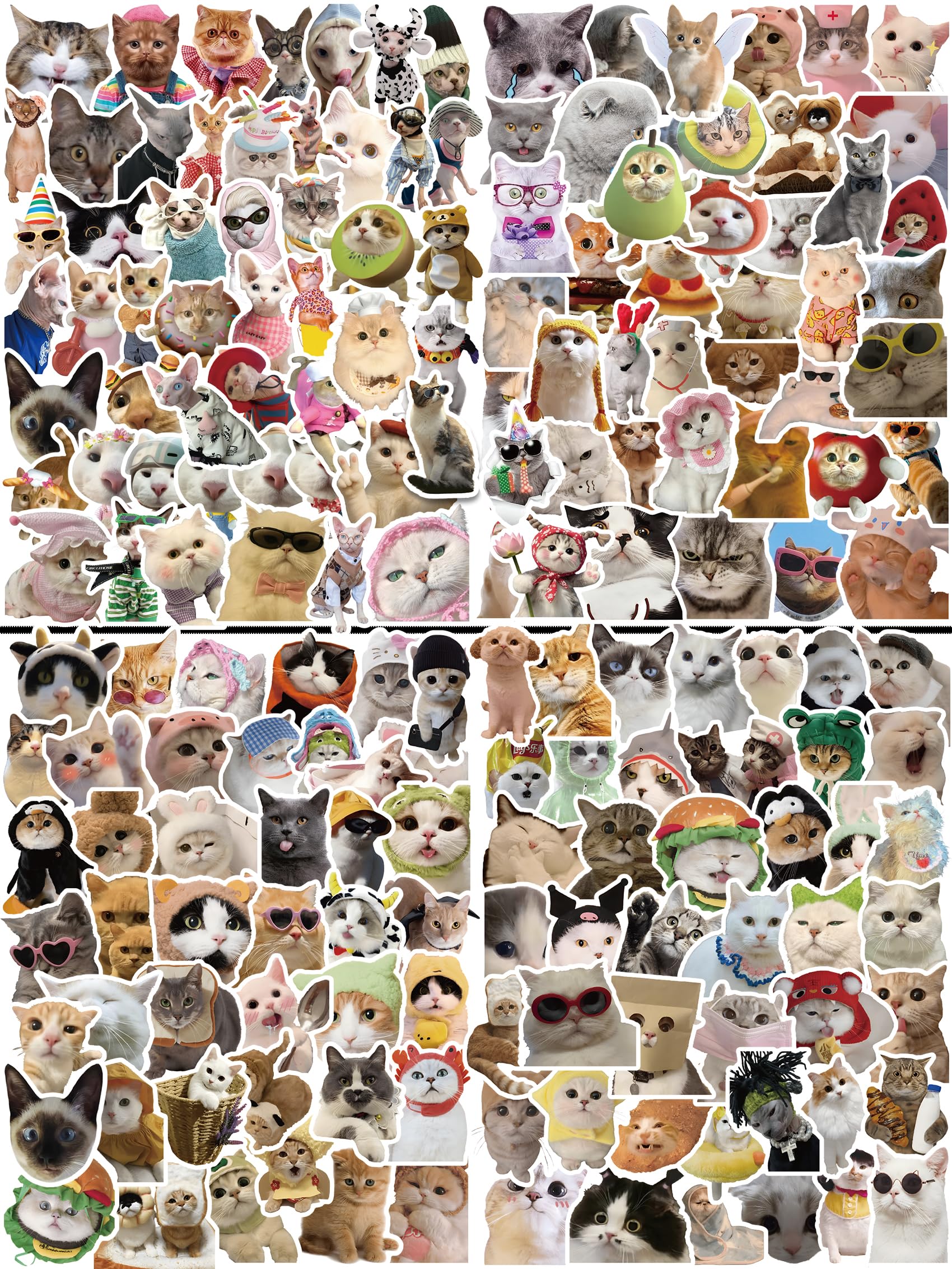 200 Cute Cat Stickers for Water Bottles, Kawaii Vinyl Cat Meme Pack, Glossy Waterproof Decals 2-2.8"