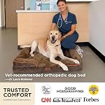 Bedsure Lit de chien orthopédique De taille moyenne Chiens - Lit de chat pour chien moyen lavable, Canapé confort avec housse lavable amovible, Lit pour chien avec fond antidérapant, Gris, 28"