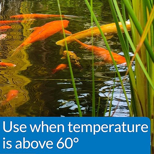 Miniatura 3 de API POND FISH FOOD Pond Fish Food - Bolsa de 11.5 onzas