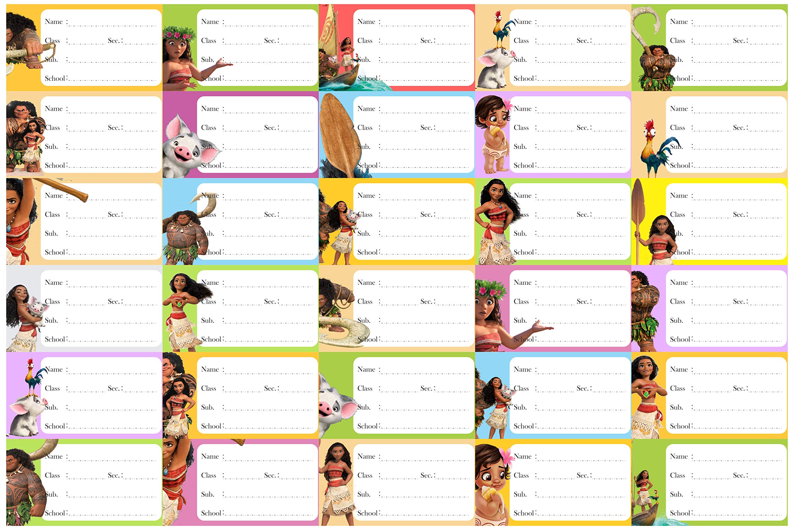 Visual Print Note Books Stickers for Kids - Moana Series School Labels (Sticker Count 30) Moa-01