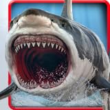 Awesome 3D graphics with realistic water view that include the open sea
