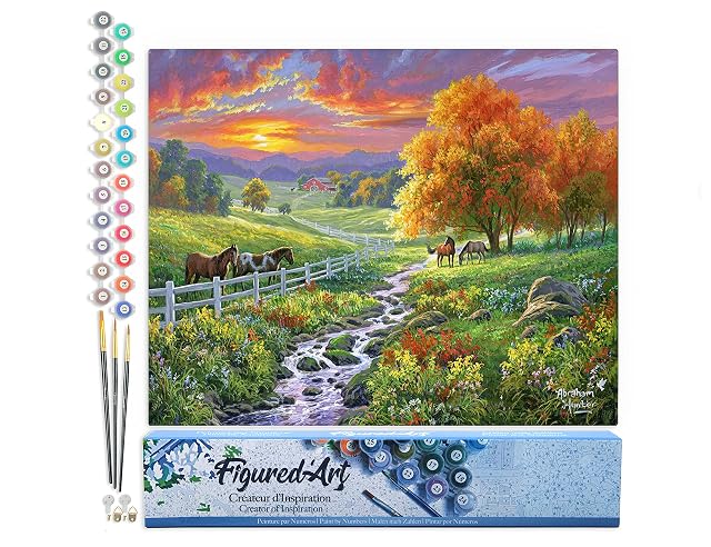 Figured'Art Pintar por Numeros Adultos Pradera soleada - Manualidades pintura acrilica Kit Cuadro DIY completo