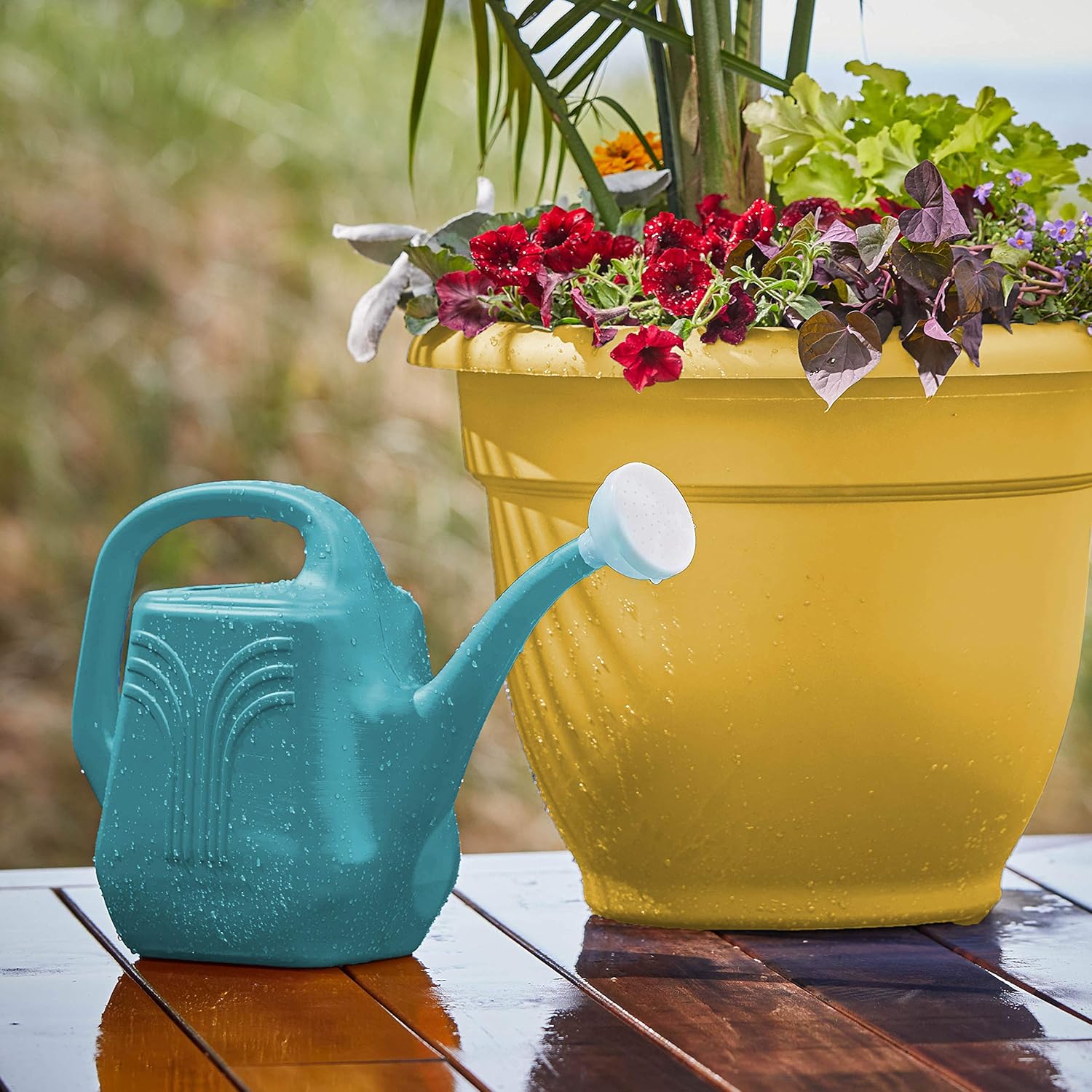 Bloem Watering Can (JW82-33), Classic Blue, 2 Gallon (256 Fl Oz) : Everything Else