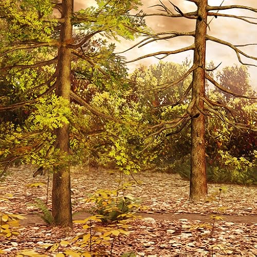 Hidden Garden Woods