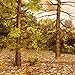 Hidden Garden Woods