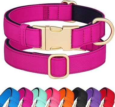Soft Padded Dog Collar for Medium Dogs, Rose Purple, M Neck 14-18" | Colorful and Durable Nylon, Quick Release Buckle, Metal D-Ring, Easy On/Off, Comfortable & Breathable for Daily Walking